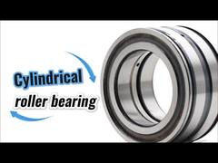 SL045010-D-PP पूर्ण पूरक डबल रो SL045010PP बेलनाकार रोलर बेयरिंग