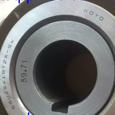 65UZS418T2X-SX-87 बुशिंग के साथ बेलनाकार रोलर असर 65UZS418 नायलॉन केज एक्सेन्ट्रिक असर
