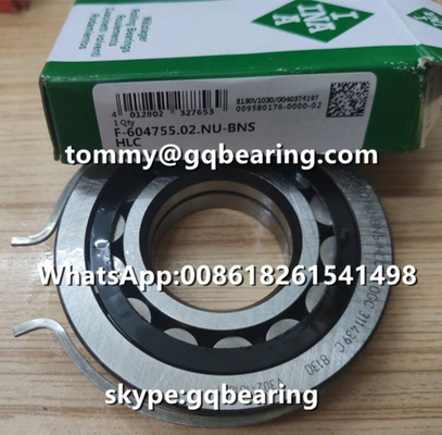 VW AG INA F-604755.02 35*80*18 मिमी के स्नैप रिंग के साथ 80Mm OD के साथ बेलनाकार रोलर असर