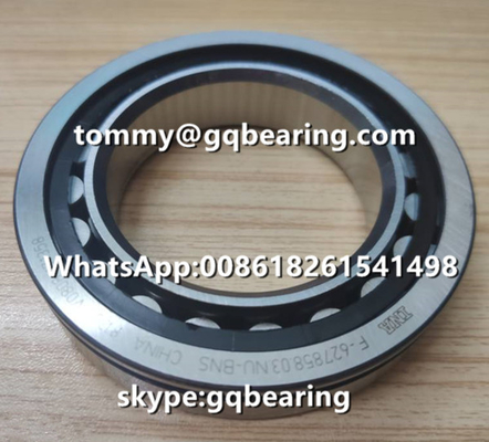 क्रोम स्टील सिलेंडर रोलर लेयरिंग VW AG INA F-627858.03